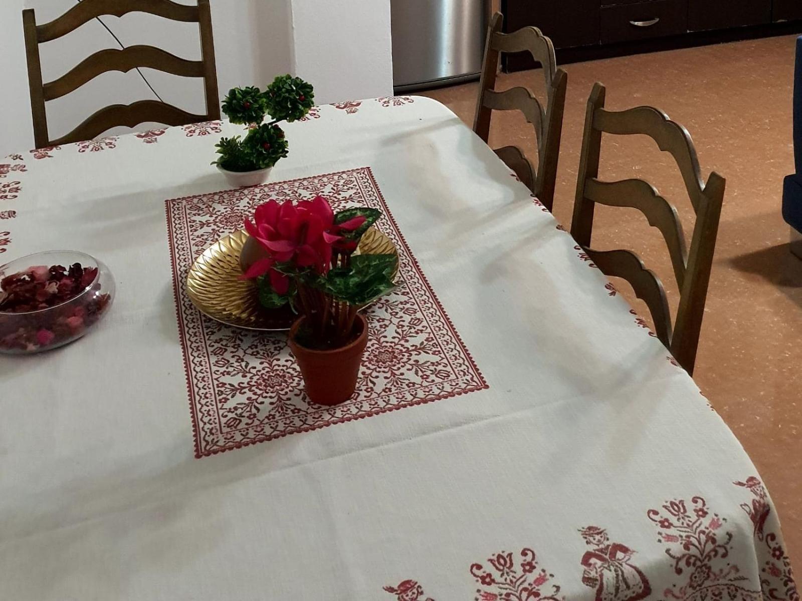 שקודר City Center Apartment מראה חיצוני תמונה